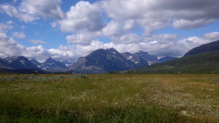 The green plains across the blue peaks